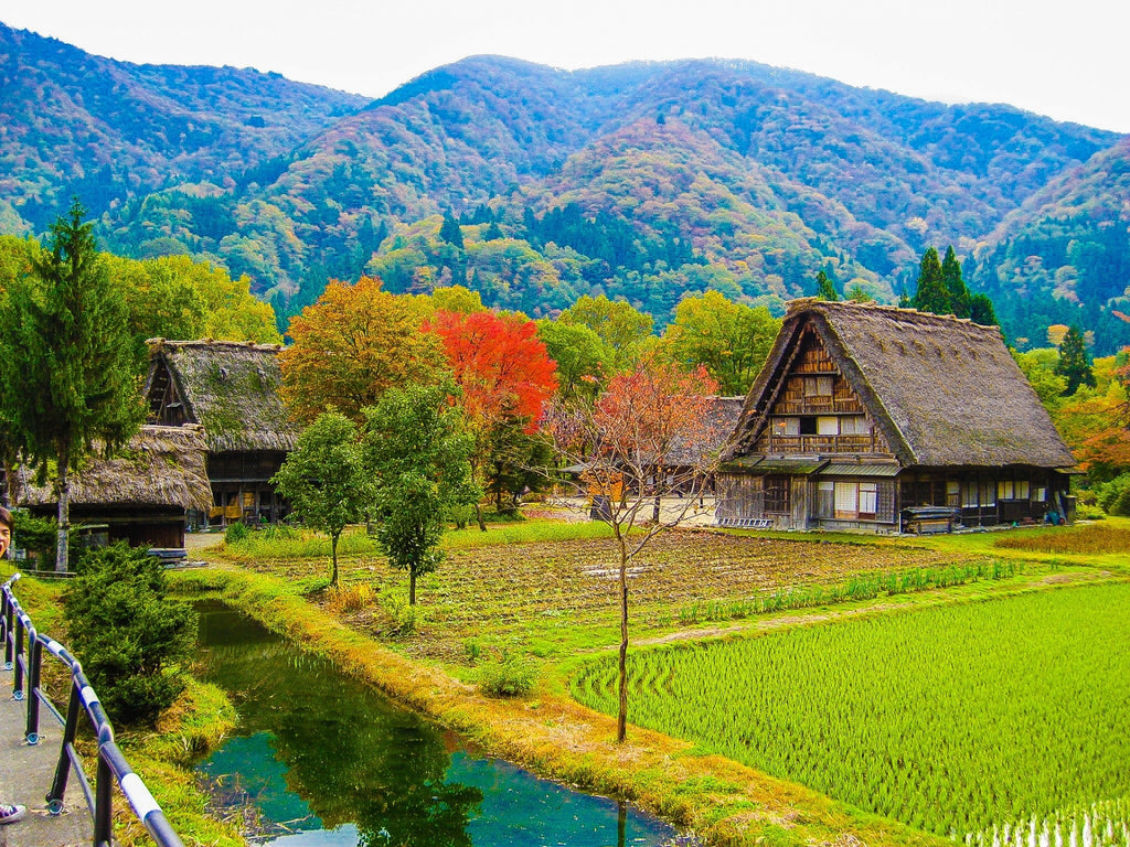 日本の原風景とお米