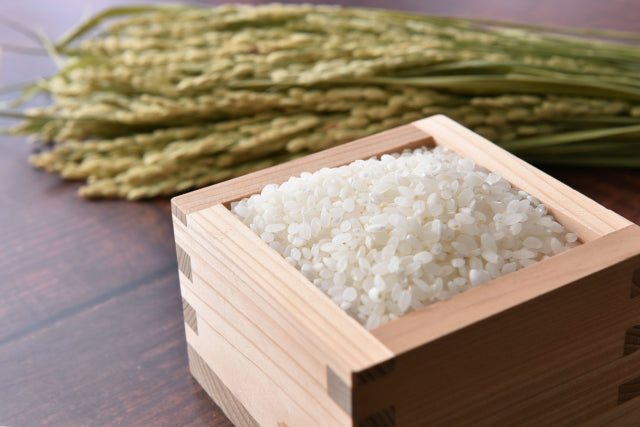 なぜ日本でお米が食べられ続けてきたの？お米の歴史や魅力をご紹介♪