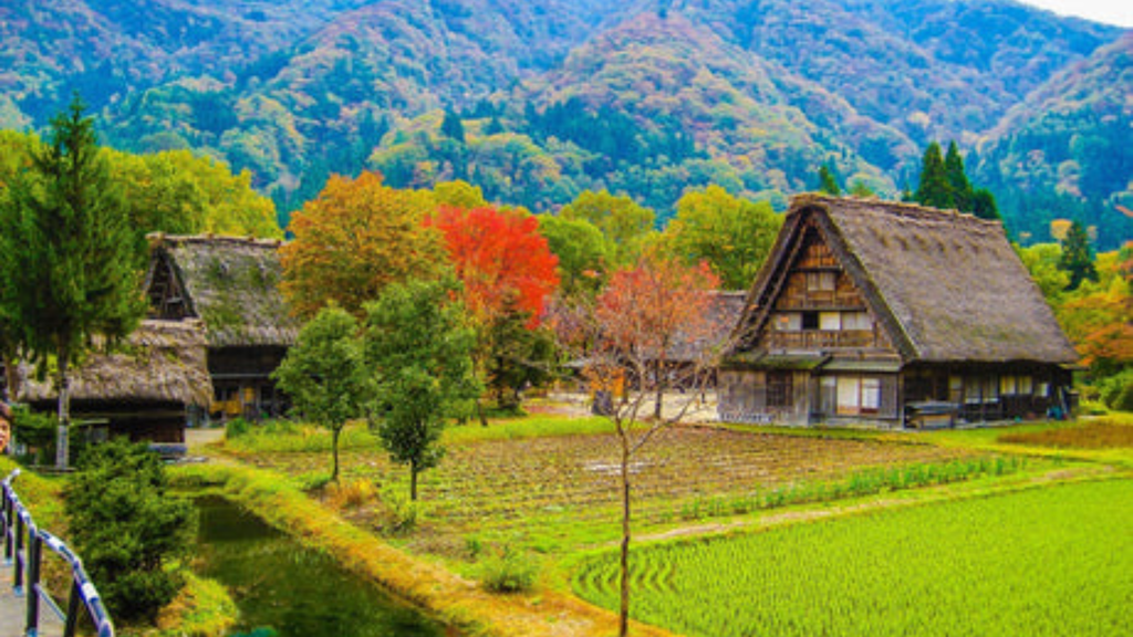 日本の原風景とお米 – 甘酒・雑貨かふぇ こめどりーみんぐ