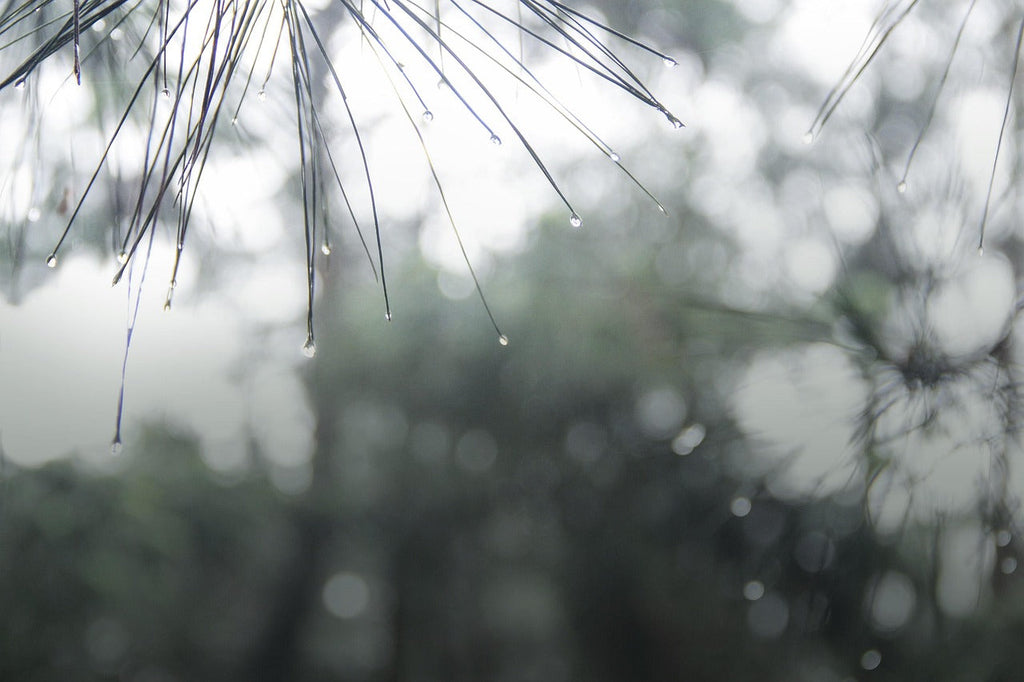 梅雨時期のだるさ対策に｜甘酒×発酵調味料レシピ